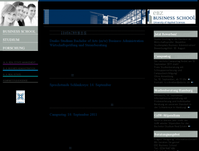 website - preview
