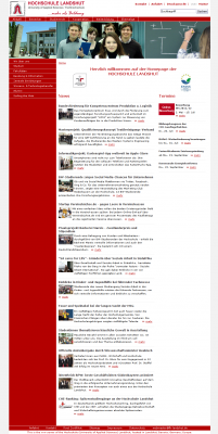 website - preview