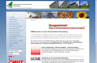 website - preview