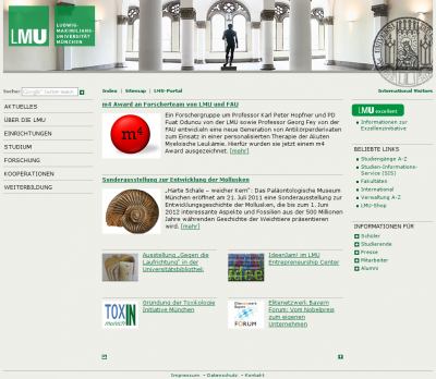 website - preview