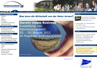 website - preview