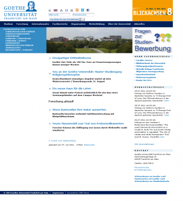 website - preview