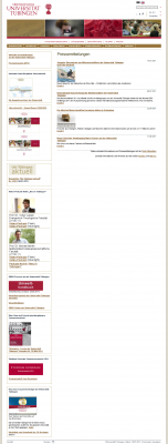 website - preview