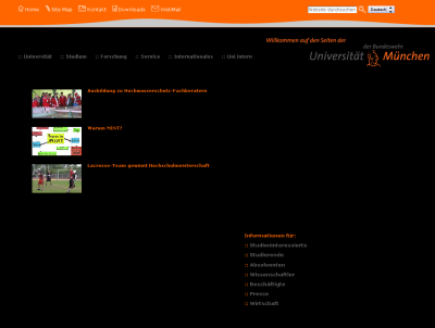 website - preview