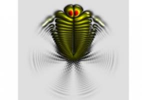 Ein Dipol aus zwei gleichen Atomen