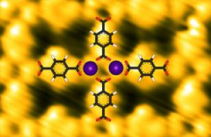 Ein fl�chendeckendes Modell-Enzym