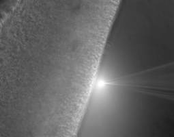 Forscher ver�ndern Stammzellen mit RNA-Cocktail