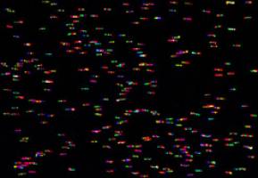 Gen-Schalter f�r Geruchsrezeptoren