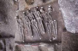 Genom des Schwarzen Todes vollst�ndig rekonstruiert