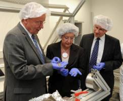 Licht bringen in die Natur von Neutrinos und Dunkler Materie