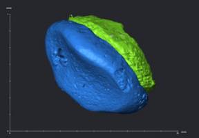 Migration: Viele Wege f�hren nach Asien