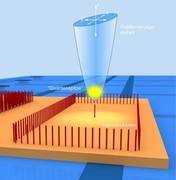 Eine ultrakalte Atomwolke (gelb) wird in einer Magnetfalle festgehalten und �ber