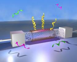 Sensorchip soll in mobilen Diagnoseger�ten eingesetzt werden