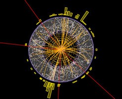Eine Spur des Higgs-Teilchens: Bei den roten Linien handelt es sich um Myonen, d