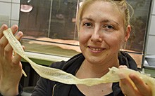 Forschungsobjekt: Schlangenhaut. Marie-Christin Klein, Doktorandin an der Kieler