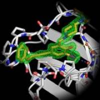 Halogenbr�cken bereichern die Wirkstoffforschung