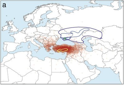 Karte zum abgeleiteten geografischen Ursprung der indogermanischen Sprachfamilie