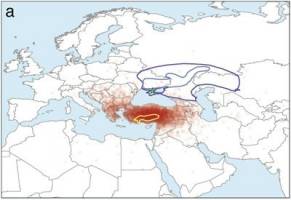 Indogermanische Sprachen entstanden in Anatolien