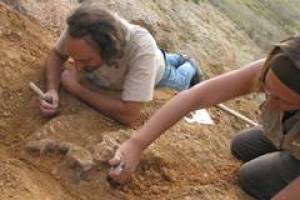 J�ngster Menschenaffe Europas entdeckt