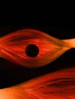 Lichtkäfige und Lichtfallen