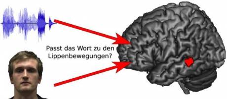 Lippenlesen: Wie wir mit den Augen h�ren