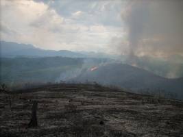 Meeresforschung im brasilianischen Regenwald
