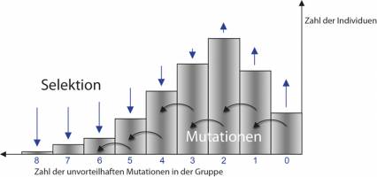 Populationen �berleben trotz nachteiliger Mutationen