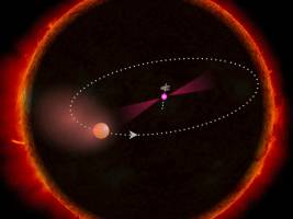 Schwarze Witwe bittet zum Tanz im Gammalicht