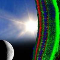 Behandlung von Augenkrankheit am Computer simuliert