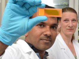 Ein Schnelltest f�r die Pest