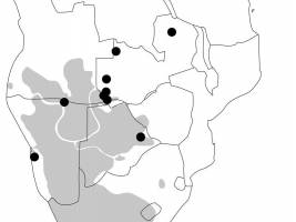 Vermischung im S�den Afrikas