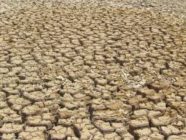 Wetterextreme heizen Klimawandel an