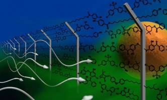 Fruchtbarkeitsst�rungen durch Alltagschemikalien?