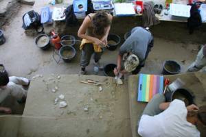 Fr�he Besiedlung Zentraleuropas durch moderne Menschen