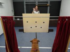 Hunde folgen der Stimme des Menschen zum Futter