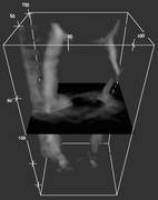 Neue Methode liefert 3D-Bilder über die Chemie der Zelle