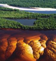 Schwankungen der globalen Kohlenstoffbilanz verst�rken sich