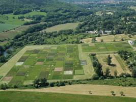 Artenvielfalt sch�tzt das Klima