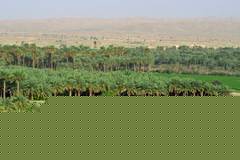 Die Ebene von Jiroft - fruchtbare Oase einer fr�hen Hochkultur im Iran. Foto:   