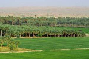 Bronzezeitliche Handelsrouten in Mesopotamien rekonstruiert