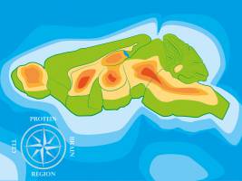 Ein Proteinatlas des Gehirns