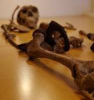 K�rpergr��e war schon immer individuell