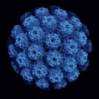 Neue Behandlungsmethode für Gehirninfektion