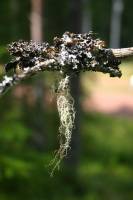 Neue Quelle von Treibhausgasen entdeckt