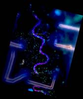 Bakterien heizen Gletschereis auf