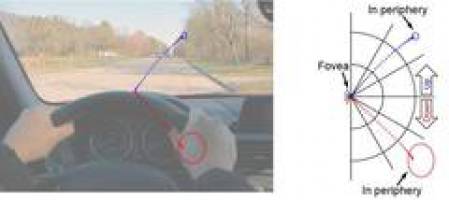 Die Gleitsichtbrille im Gehirn