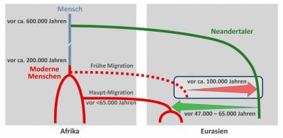 Früher Genfluss vom modernen Menschen zum Neandertaler