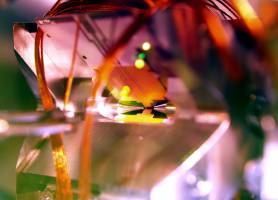 Mikroskopieren mit einzelnen Ionen