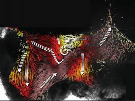 Mit dem Strom ans Ziel