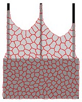 Die Computersimulationen zeigen, dass Hautzellen auf einer strukturierten Unterl